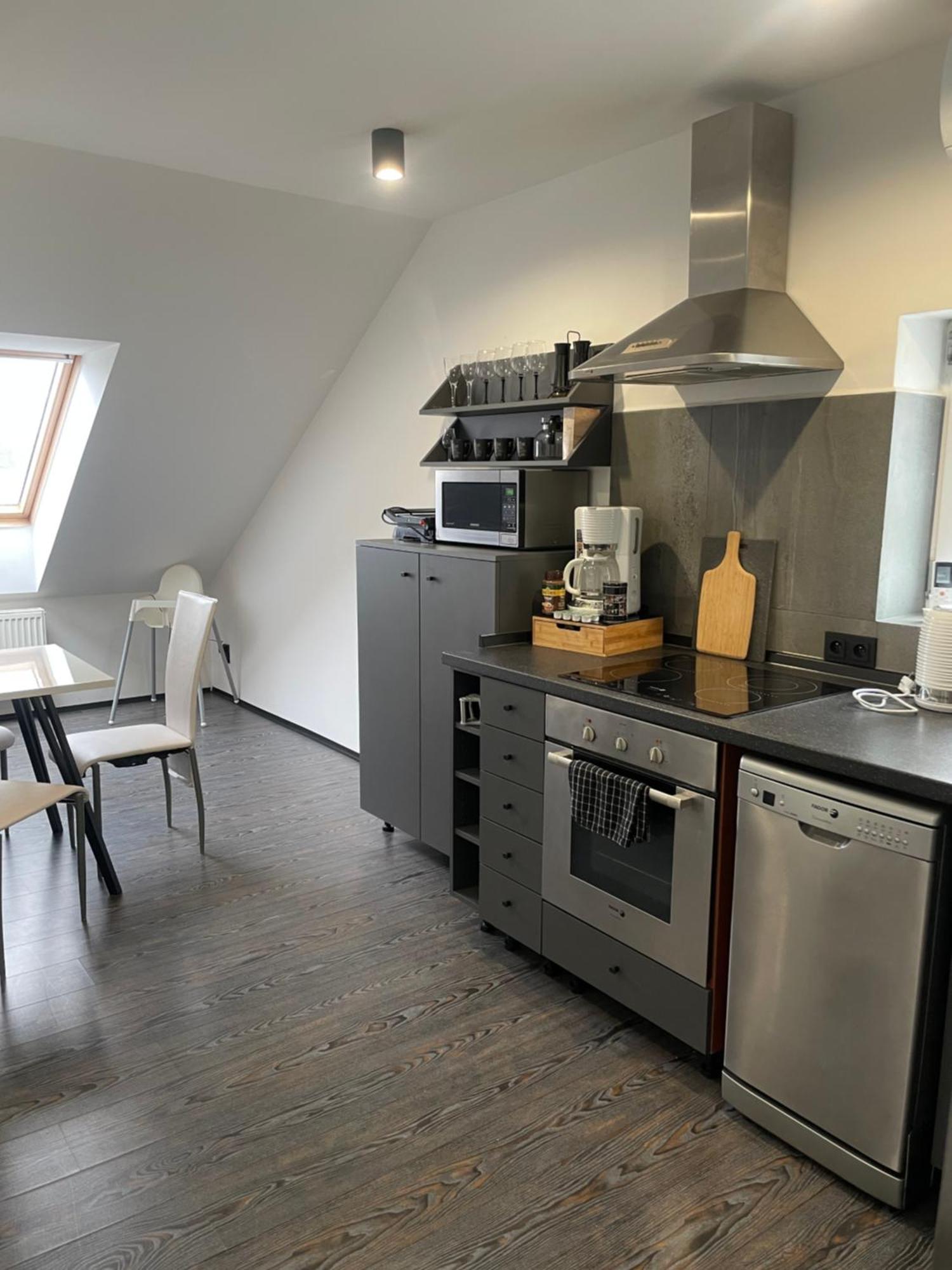 Apartman Vera 帕尔杜比采 外观 照片