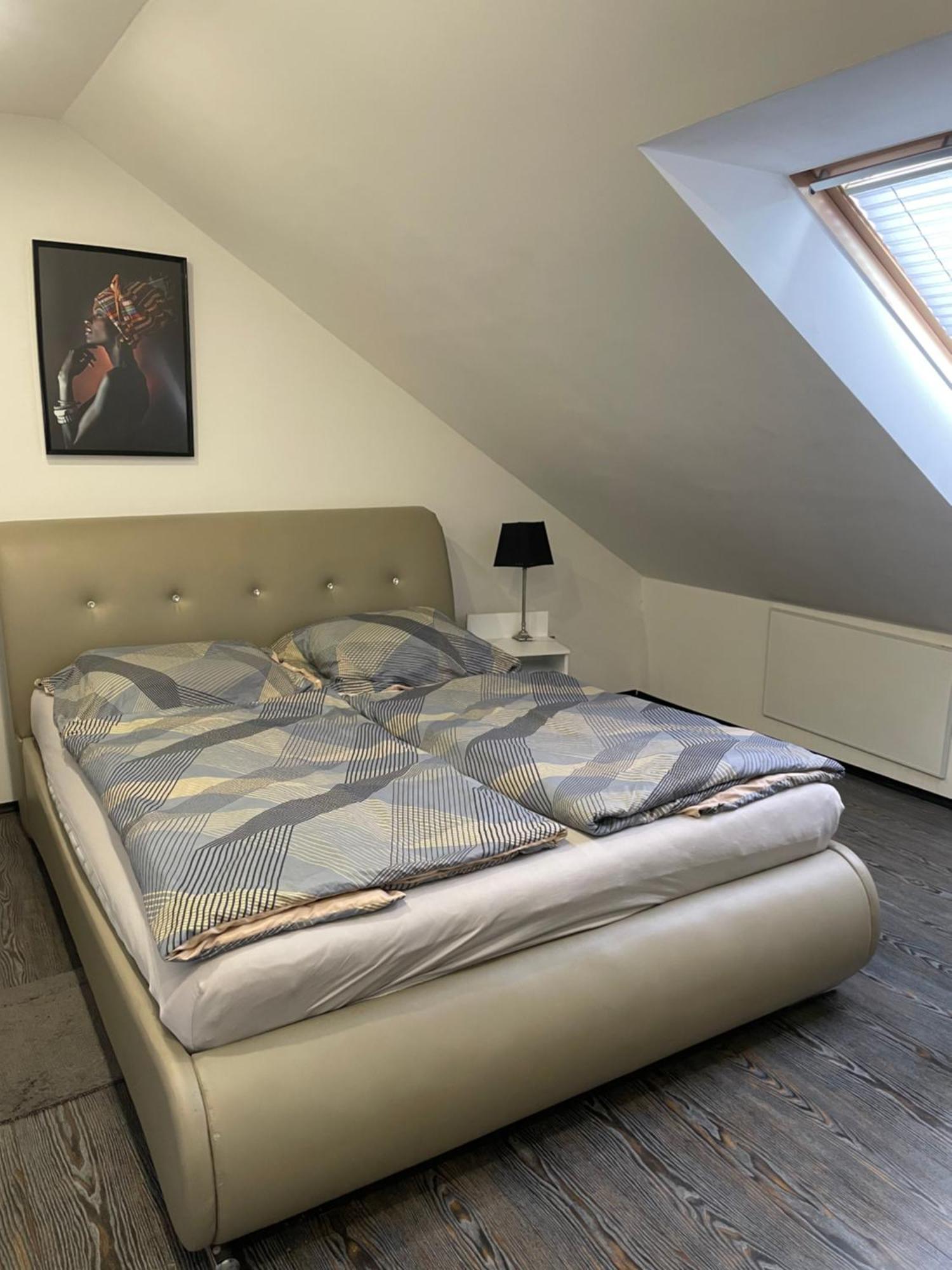 Apartman Vera 帕尔杜比采 外观 照片