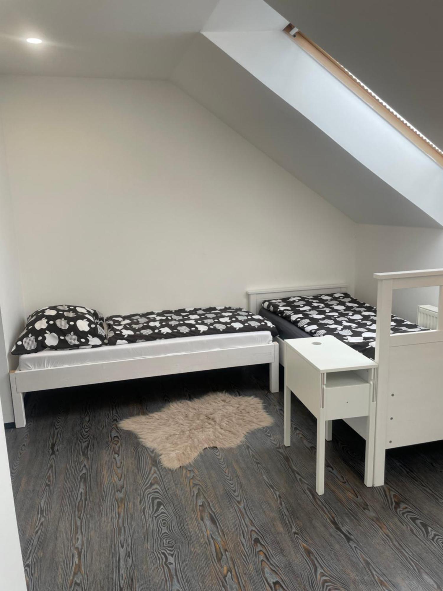 Apartman Vera 帕尔杜比采 外观 照片